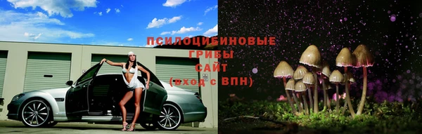 не бодяженный Щучье