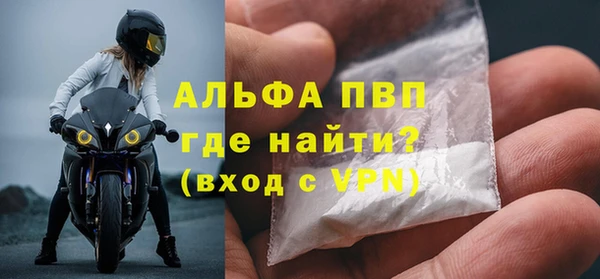 прущие грибы Шарыпово