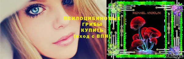 прущие грибы Шарыпово