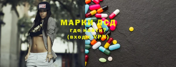 прущие грибы Шарыпово