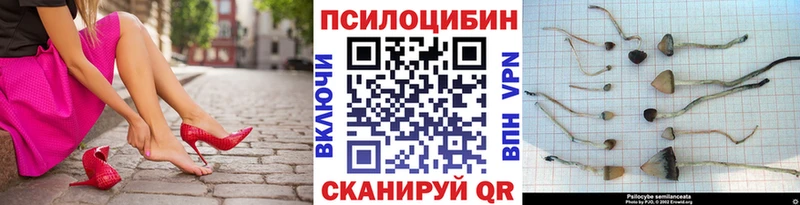 Псилоцибиновые грибы GOLDEN TEACHER  Пушкино 